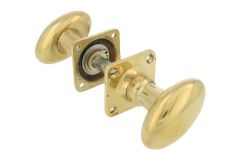 Pair of knobs oval polished brass