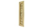 Letter plate "BRIEVEN" vertical polished brass