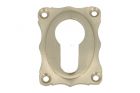 Euro cylinder escutcheon elegant satin nickel.