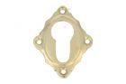 Euro cylinder escutcheon polished brass. Diagonally mounted