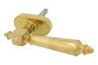 Handle Tilt & Turn (1890) polished brass